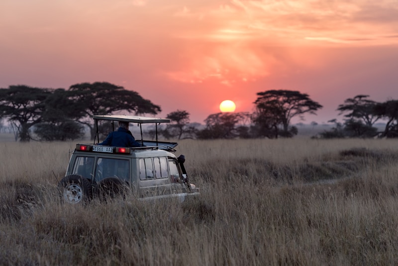 Boxed Packed Maasai Mara 3-Day Safari | KSh 29,000…